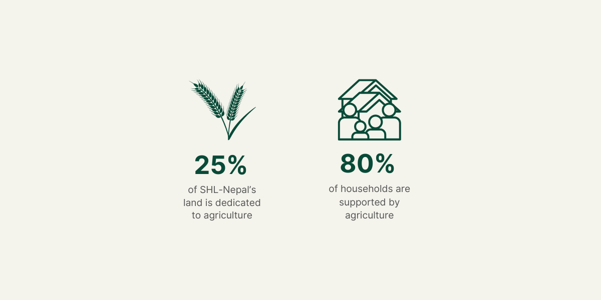 25% of SHL-Nepal's land is dedicated to agriculture. 80% of households are supported by agriculture.