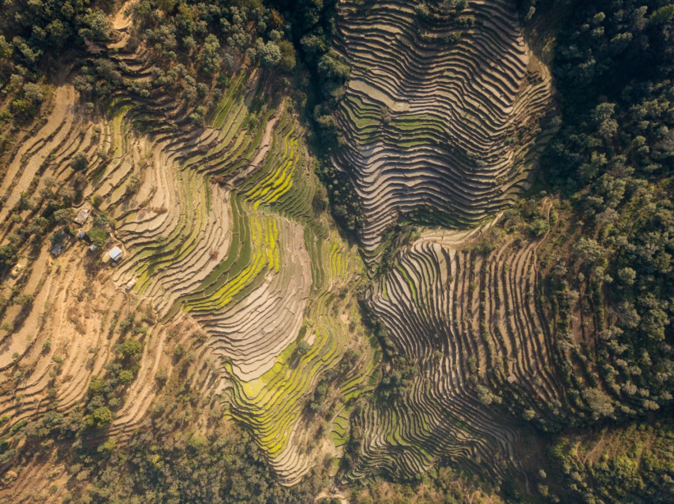 Farms and forests in Chautara, Sindhupalchok district in the Sacred Himalayan Landscape in Nepal.